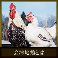 会津地鶏とは